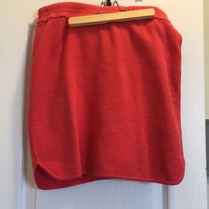 Pink JCrew Skirt size 6